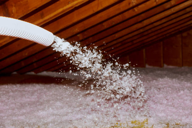 Best Insulation for Specific Applications in East End, AR