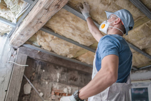 Types of Insulation We Offer in East End, AR